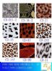 Water Transfer Printing For Animal Patterns